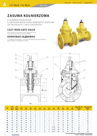Cast iron gate valves for gas